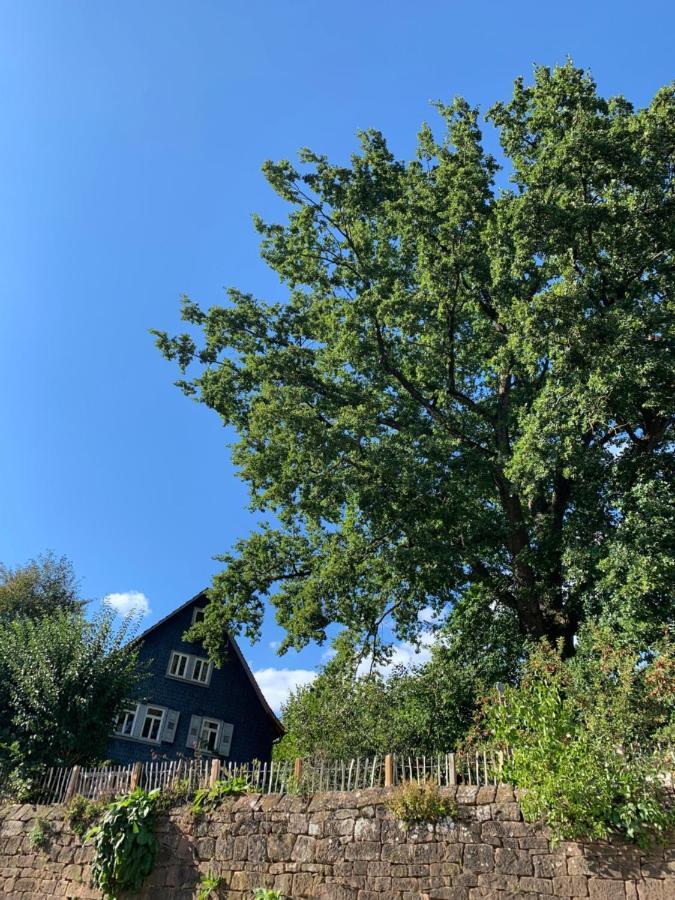 Nibelungen Premium Cottage Mossautal Exterior foto