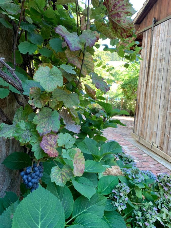 Nibelungen Premium Cottage Mossautal Exterior foto